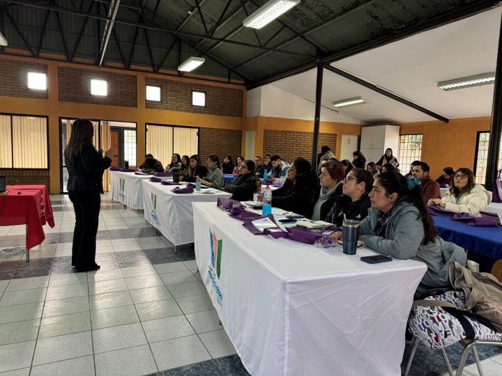 Municipio de San Esteban y Coaniquem organizaron capacitación de cuidado de quemaduras para profesionales de salud de Aconcagua