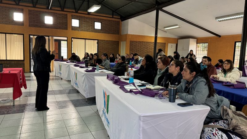 Municipio de San Esteban y Coaniquem organizaron capacitación de cuidado de quemaduras para profesionales de salud de Aconcagua