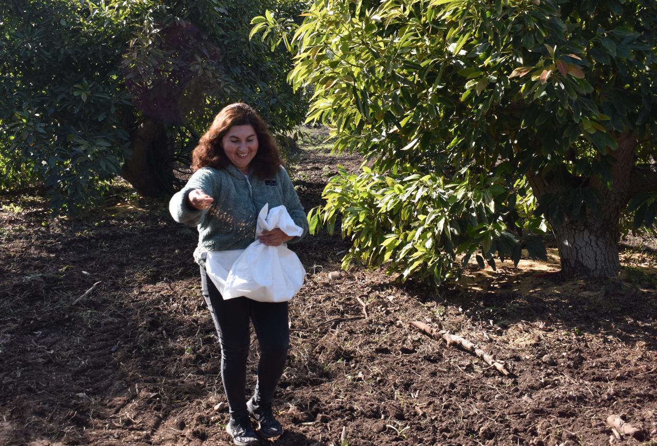 Centro Ceres distribuye Guías de Prácticas Agrícolas Sostenibles