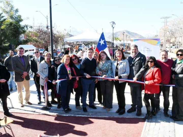 Inauguran obras de mejoramiento de plaza y nueva multicancha en Villa Los Acacios