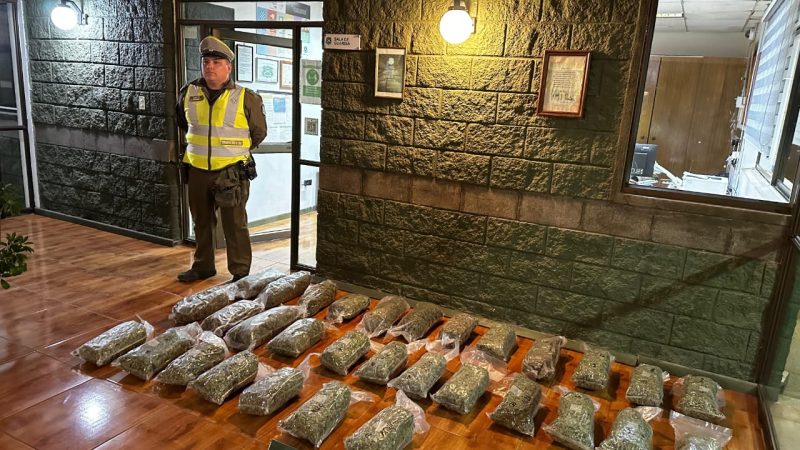 Cerca de 32 kilos de marihuana incautados en control carretero