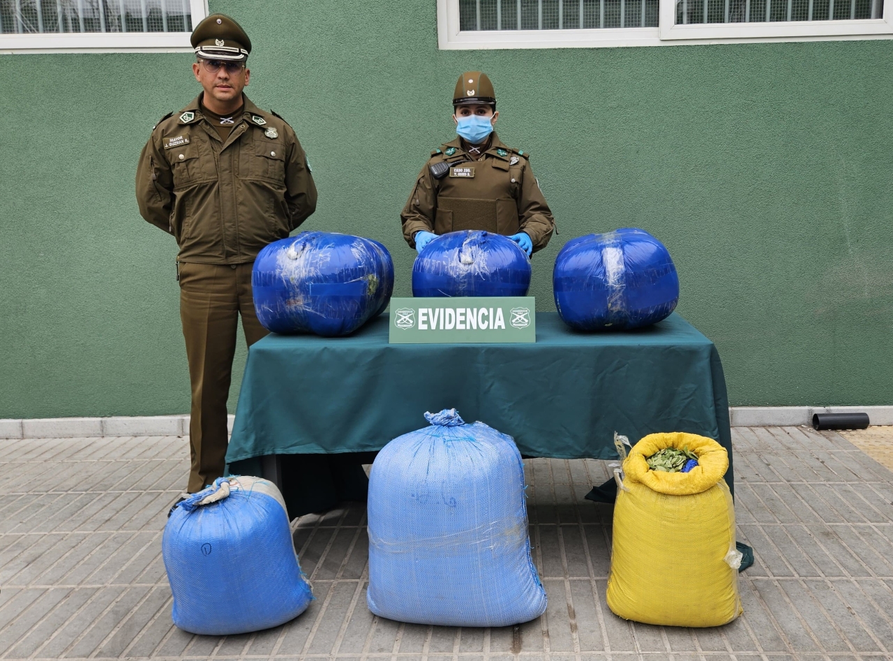 Carabineros decomisó casi 80 kilos de hojas de coca en Llay Llay