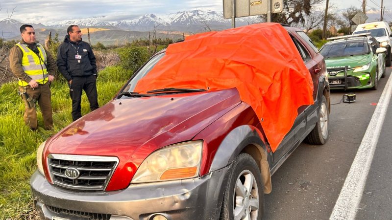 Encuentran sin vida a conductor al interior de su vehículo en la comuna de Panquehue