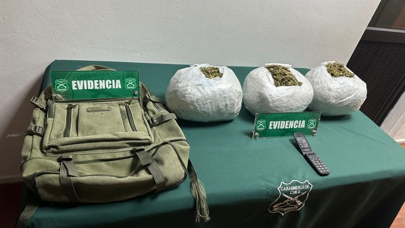 Canes detectores de droga develan presencia de marihuana en bus comercial