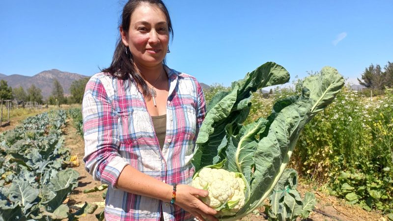 Jóvenes rurales impulsan innovadores proyectos agroecológicos en la región