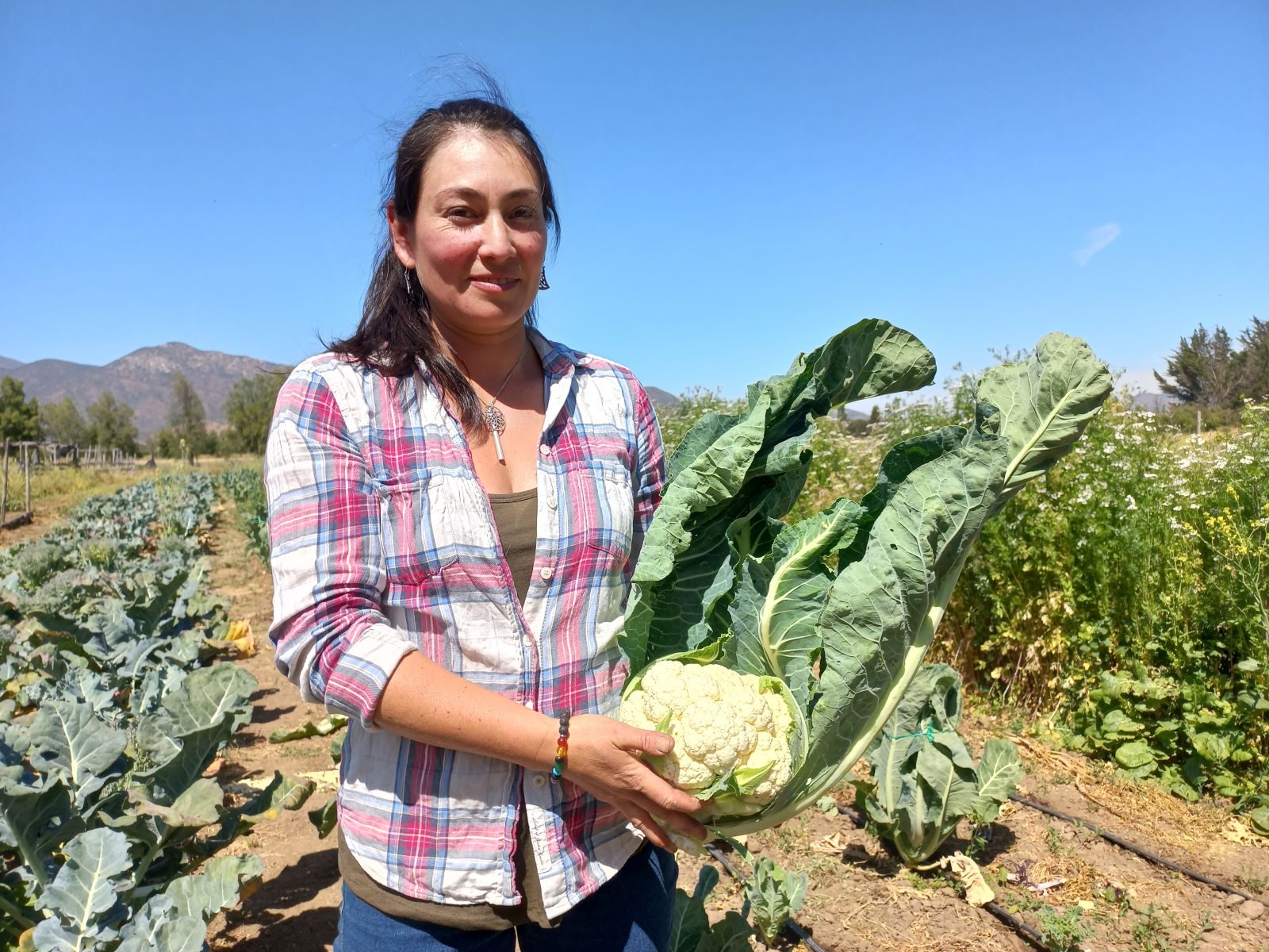 Jóvenes rurales impulsan innovadores proyectos agroecológicos en la región