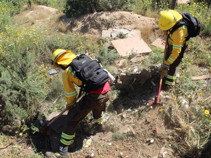 Altas temperaturas: CONAF llama a reforzar medidas para prevenir incendios 