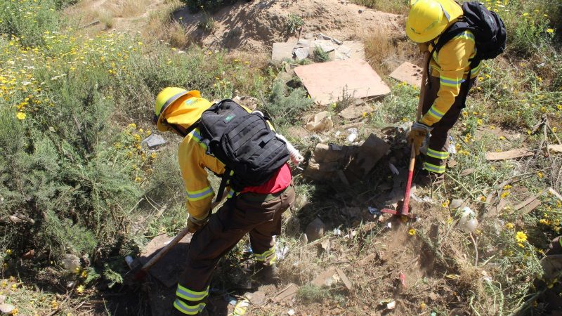 Altas temperaturas: CONAF llama a reforzar medidas para prevenir incendios 