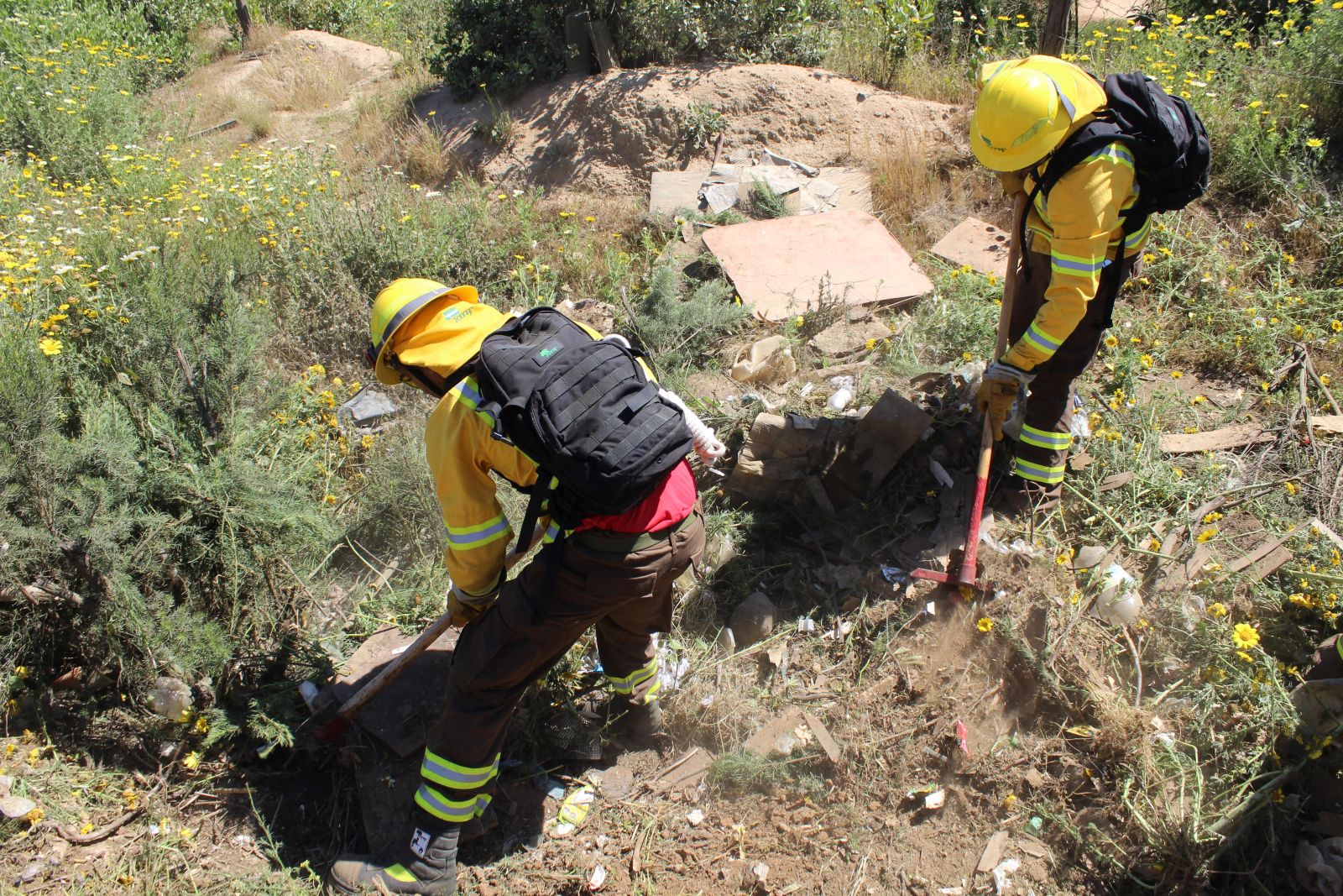 Altas temperaturas: CONAF llama a reforzar medidas para prevenir incendios 