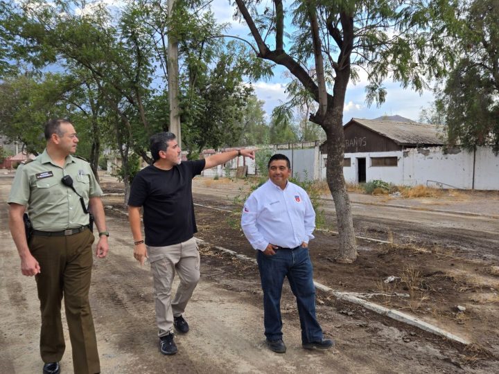 Anuncian realización de la Fiesta Huasa Trilla a yegua suelta en parque Cordillera