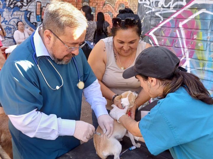 Exitosa Jornada de Operativo Médico Veterinario en Población El Remanso