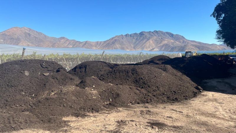 Retiran 8 toneladas de guano de cerdo en predio agrícola tras quejas por malos olores