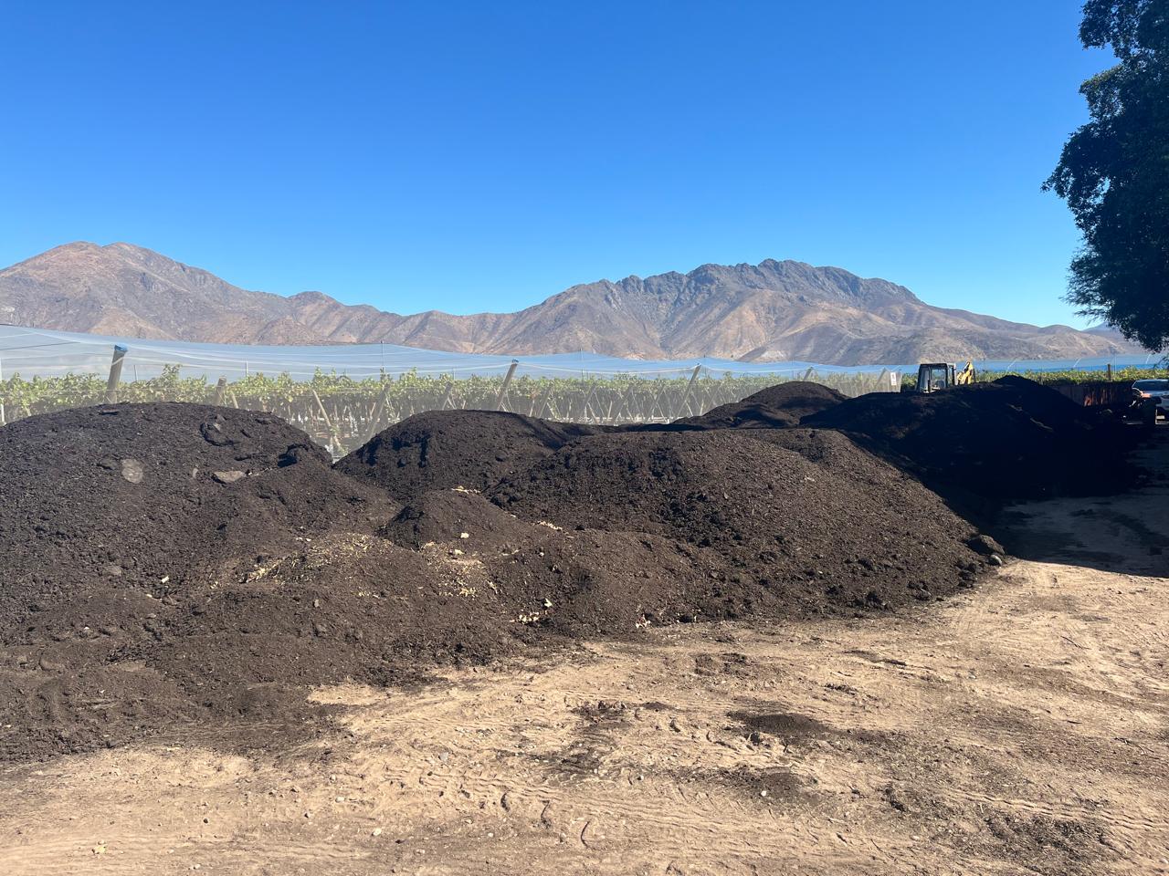 Retiran 8 toneladas de guano de cerdo en predio agrícola tras quejas por malos olores