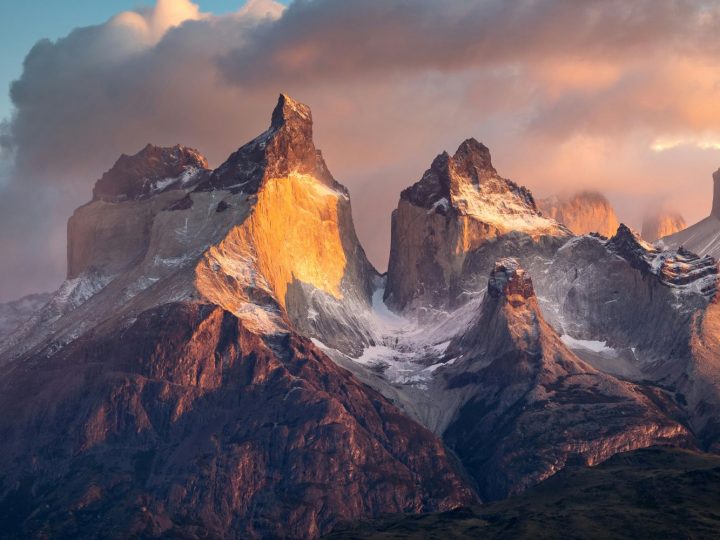 El Día de los Patrimonios y el desafío de la conservación: ¿Cómo protegemos nuestra identidad biocultural?