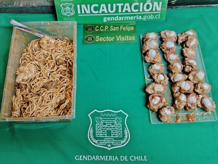 Gendarmes incautan 345 dosis de marihuana escondidas en trozos de carne
