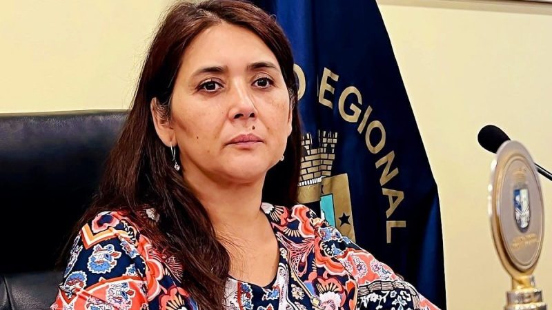 Consejera Maricel Martínez celebra aprobación de subsidio al transporte rural en la Provincia de San Felipe de Aconcagua