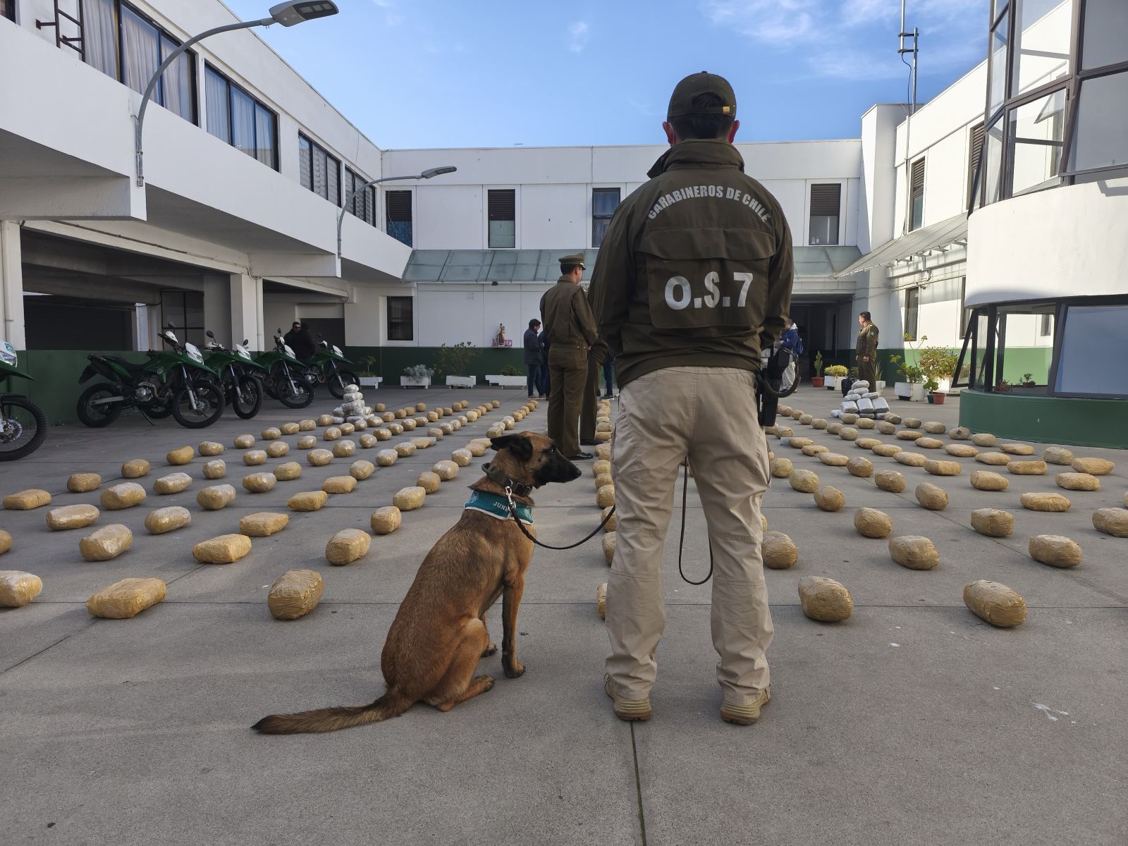 OS7 de Carabineros decomisó cerca de 350 kilos de droga tras control carretero en ruta 5 norte
