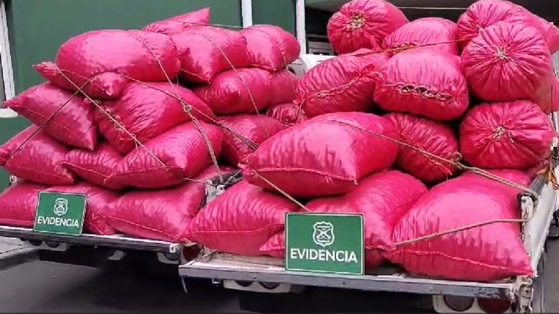 Cuatro detenidos por receptación de frutos secos en San Felipe