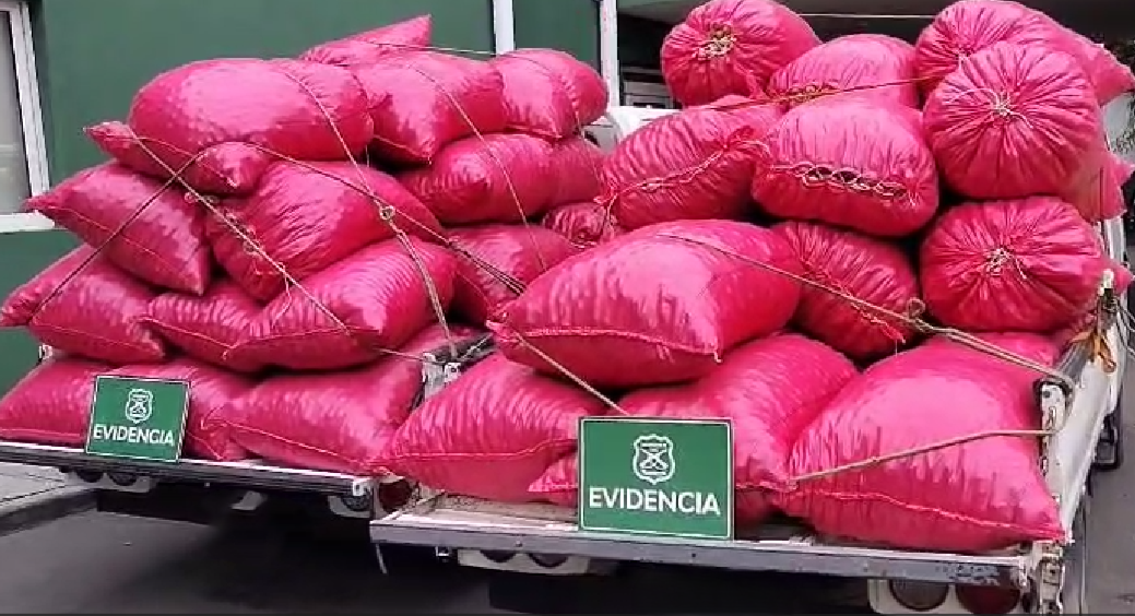 Cuatro detenidos por receptación de frutos secos en San Felipe