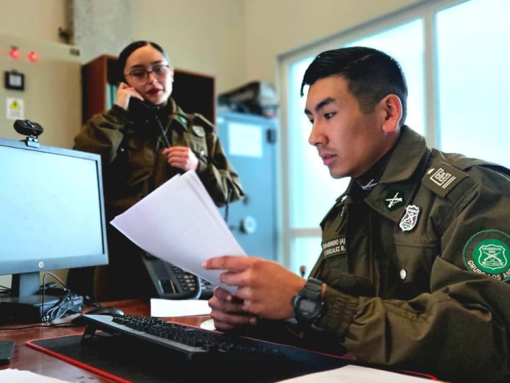 15 futuros Carabineros realizan su práctica profesional en las comisarías de San Felipe, Los Andes y La Ligua