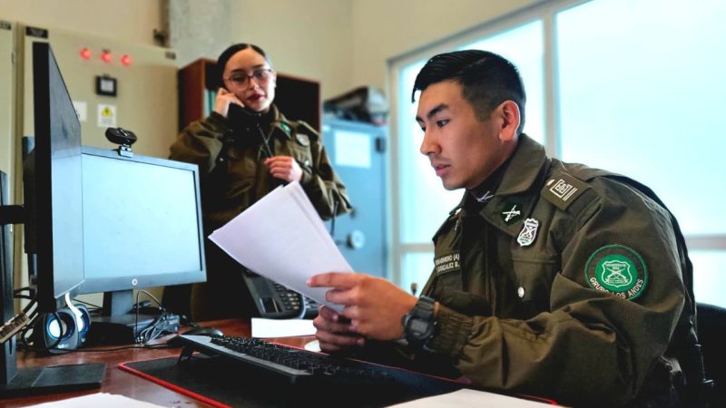 15 futuros Carabineros realizan su práctica profesional en las comisarías de San Felipe, Los Andes y La Ligua