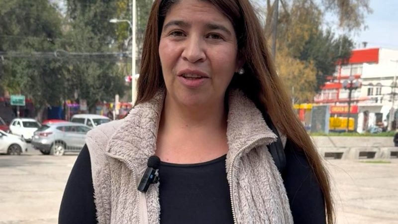 Diseñadora local busca apoyo para representar a Chile en el Fashion Week