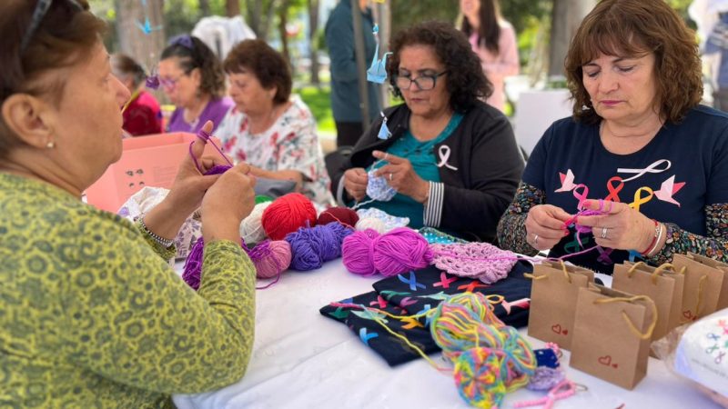 Con feria de salud “Tejiendo Conciencia” Los Andes se une al mes de la prevención de cáncer de mama
