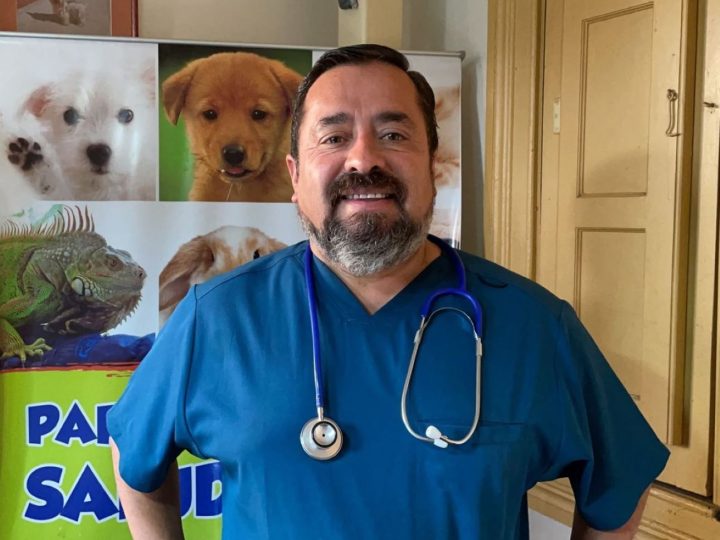 Concejal Mario Méndez condena grave caso de maltrato animal en Los Andes y anuncia acciones legales junto a organizaciones animalistas