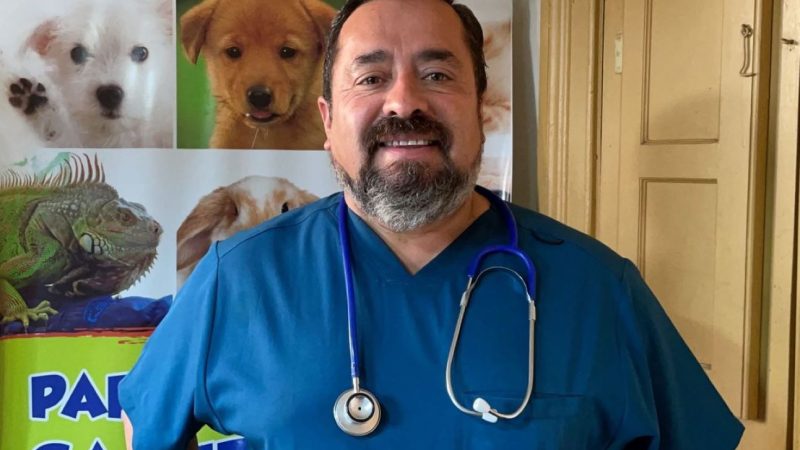 Concejal Mario Méndez condena grave caso de maltrato animal en Los Andes y anuncia acciones legales junto a organizaciones animalistas