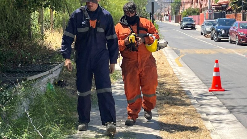 Avanza el plan de desmalezado en Los Andes: más de 50 mil metros cuadrados intervenidos