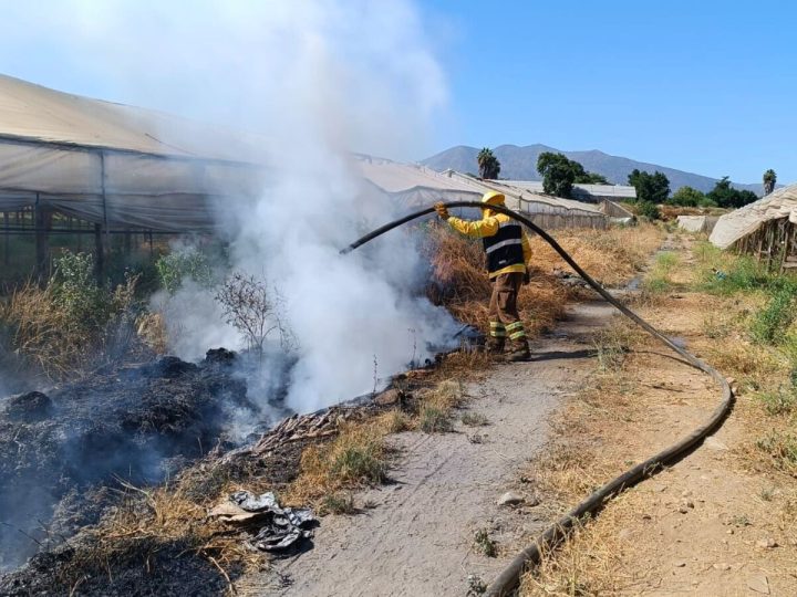 Refuerzan llamado a la prevención de incendios forestales ante condiciones de alto riesgo