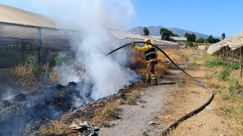 Refuerzan llamado a la prevención de incendios forestales ante condiciones de alto riesgo