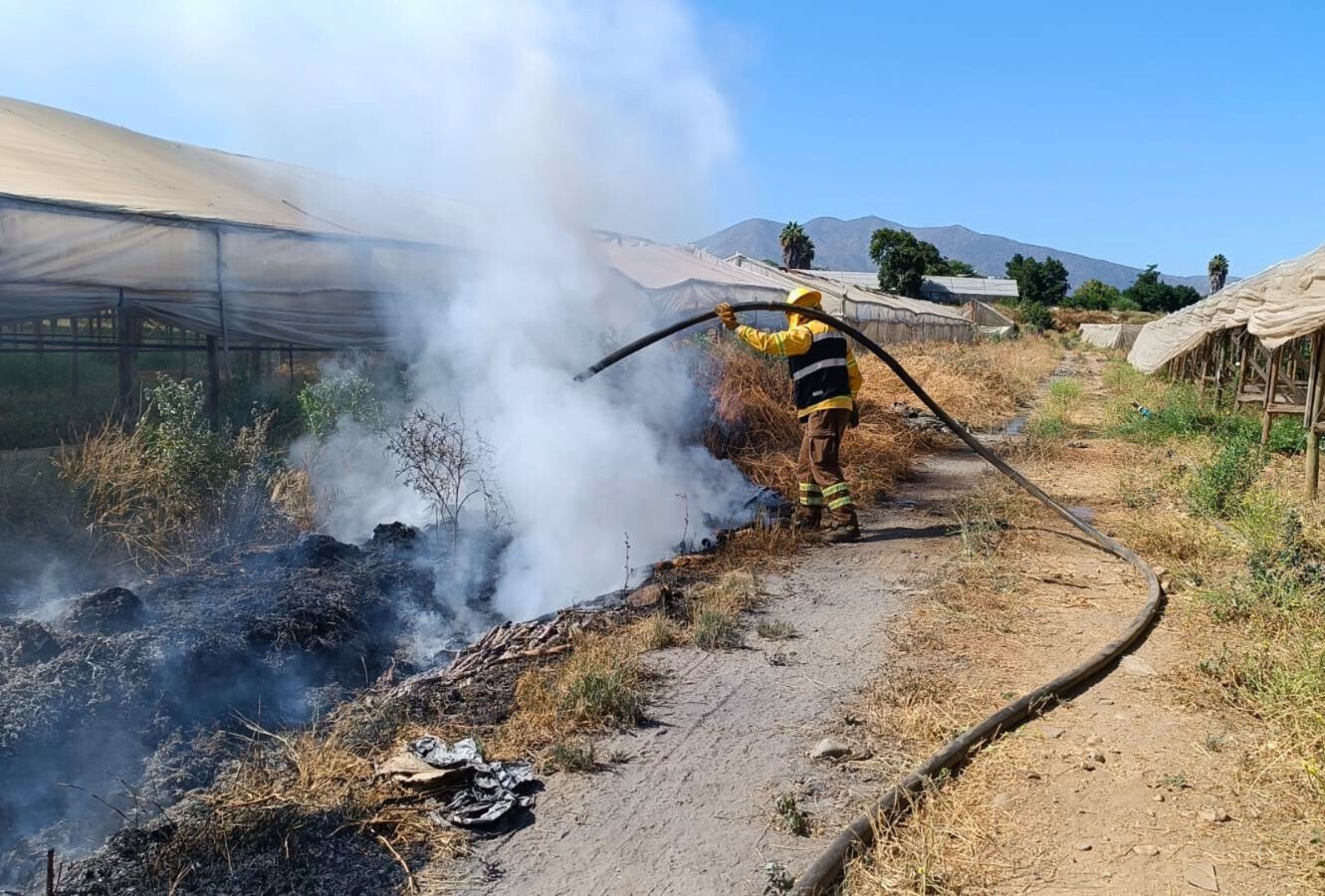 Refuerzan llamado a la prevención de incendios forestales ante condiciones de alto riesgo