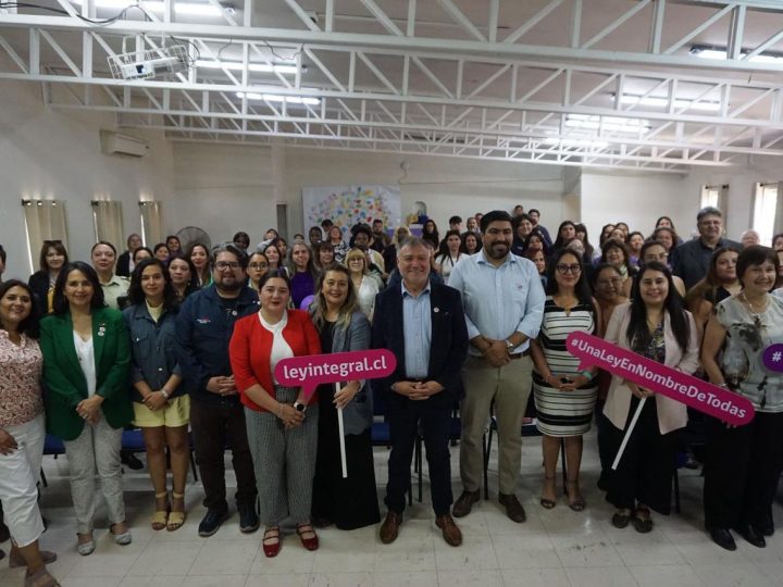 Seremi de la Mujer y Equidad de Género conmemora el Día Internacional de la Eliminación de la Violencia contra las Mujeres en Valparaíso y San Felipe