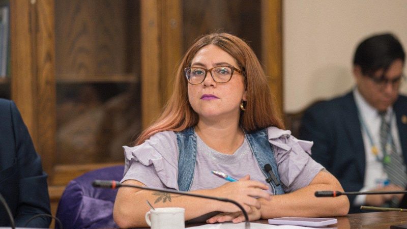 Diputada Francisca Bello solicita respuesta urgente para garantizar tratamiento oncológico de vecina de Los Andes