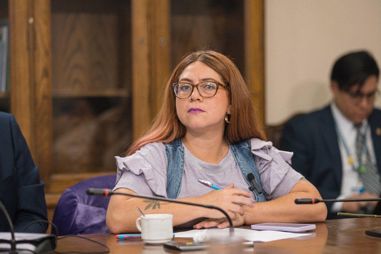Diputada Francisca Bello solicita respuesta urgente para garantizar tratamiento oncológico de vecina de Los Andes