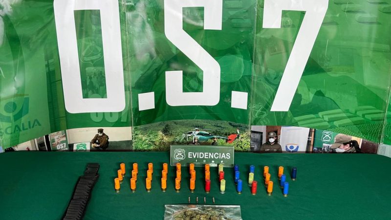 Dos detenidos en Putaendo por infracción a la Ley de Drogas y porte de municiones