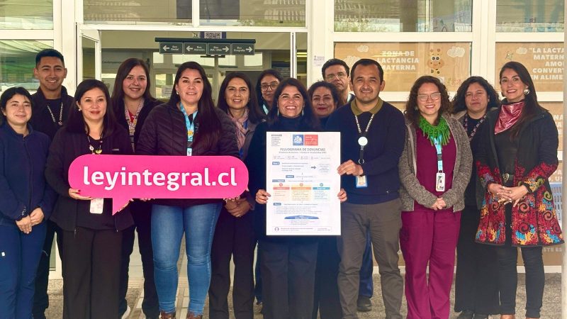 Mesa Provincial de Género elabora flujograma de denuncia de violencia de género y capacita a Carabineros y equipos de salud