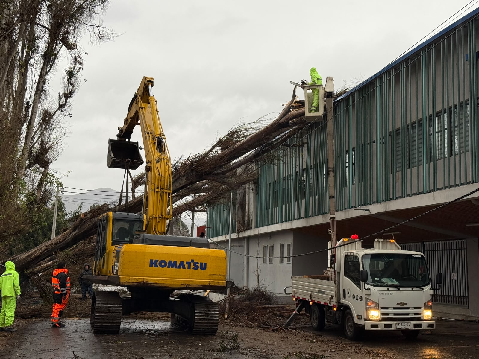 Comienzan trabajos con maquinaria pesada y equipos de altura tras caída de árbol en Liceo El Porvenir